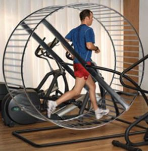exercise wheel